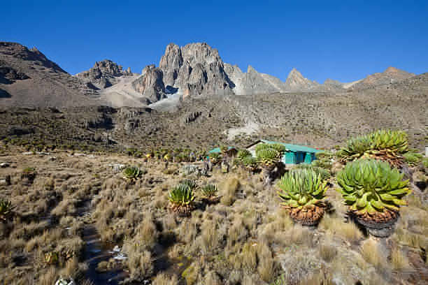 Climb Mount Kenya