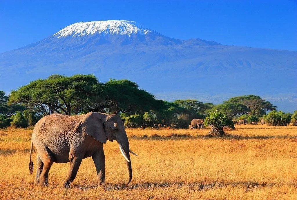 Richiesta di visto turistico per l'Africa orientale per l'Uganda