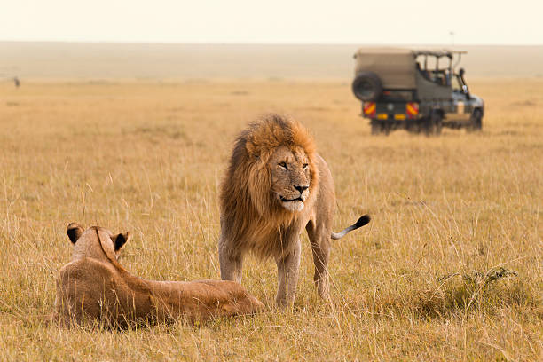 Encouraging Tourism
