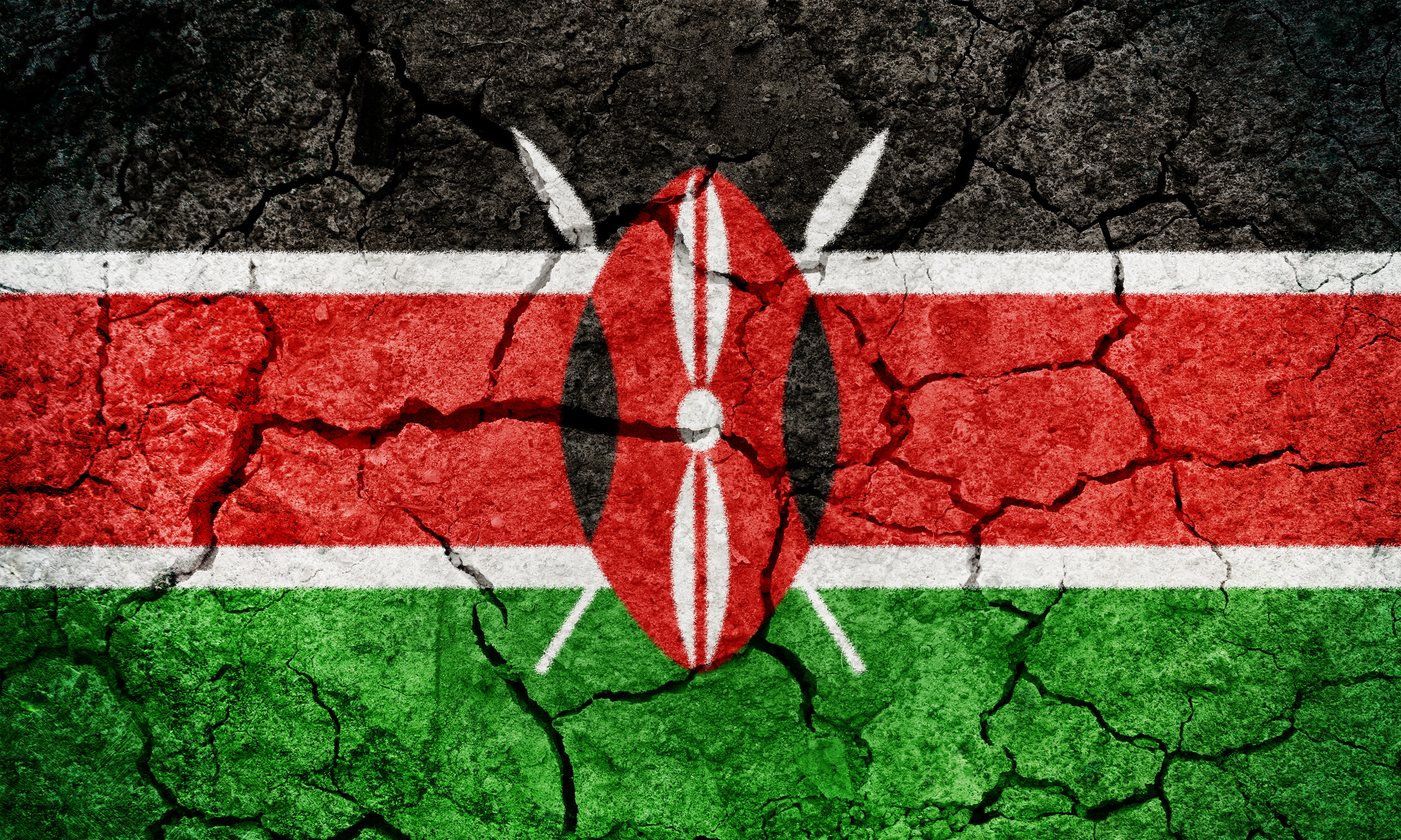 Government Has Embarked On An Ambitious