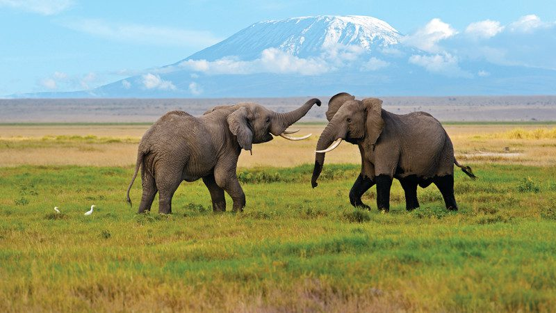 punto caldo per i turisti di tutto il mondo