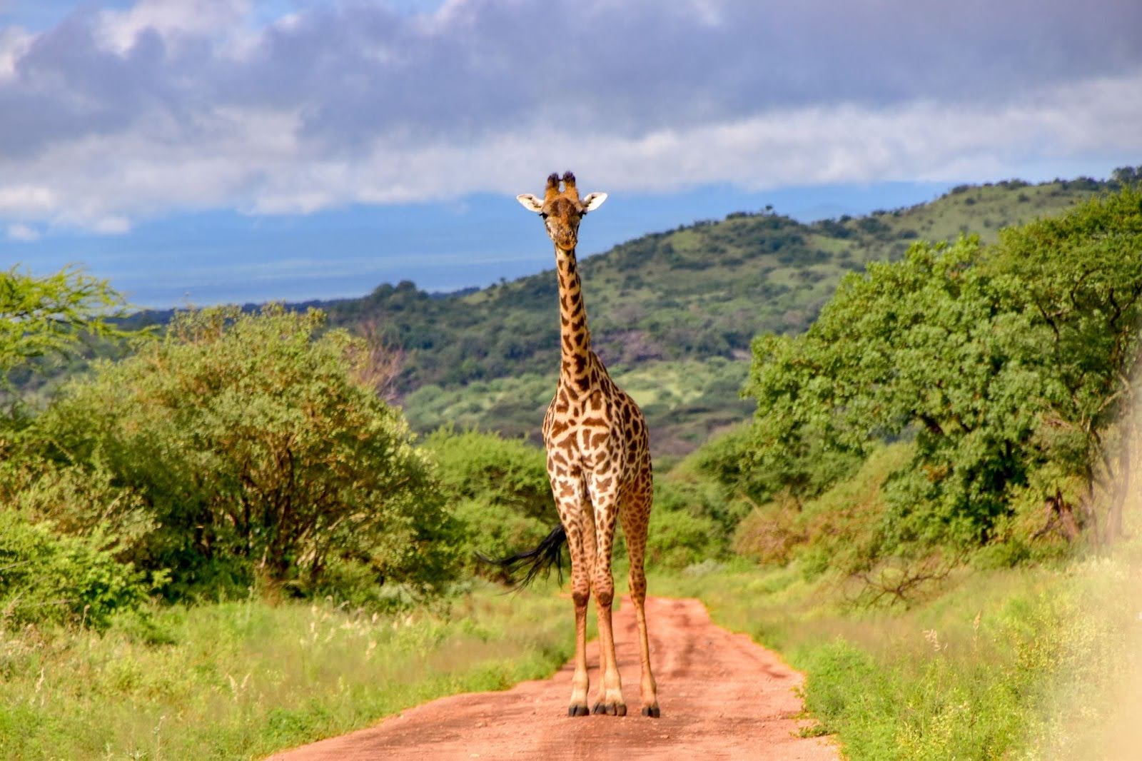 Explore Visa-Free Paradise in Africa's Heart