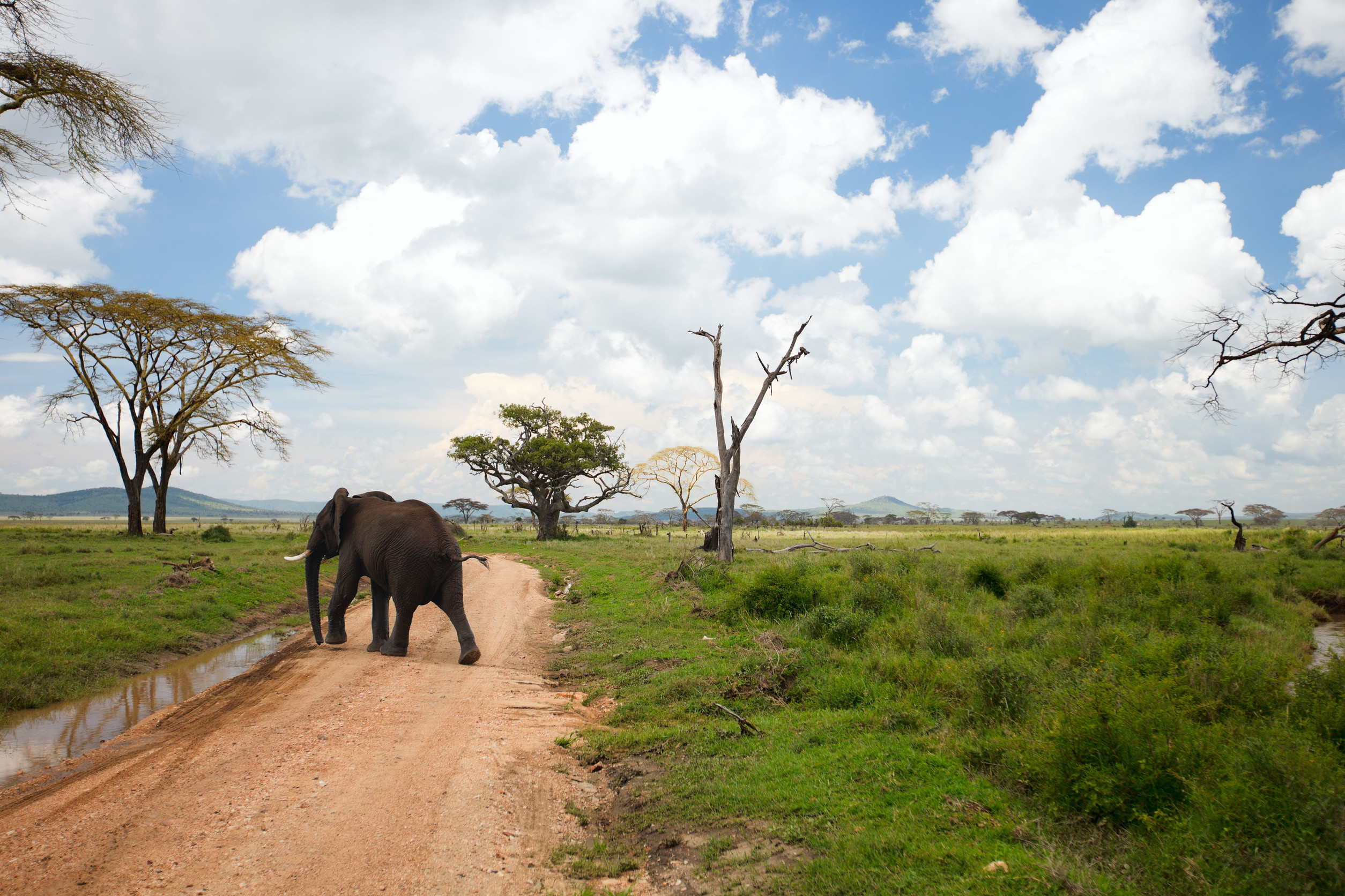 Kenya Offers City Tours