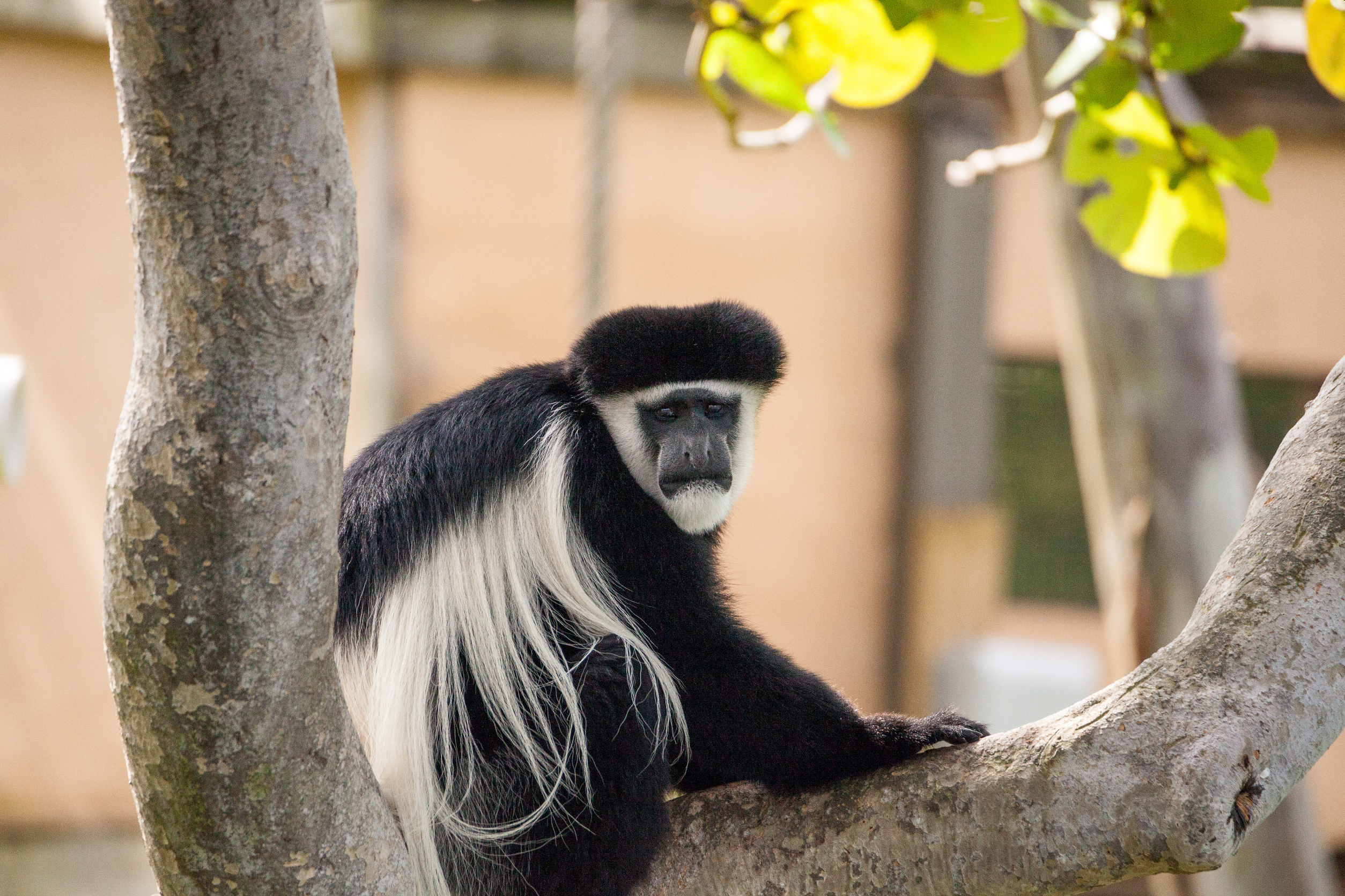 Unforgettable 1-Week Uganda Adventure