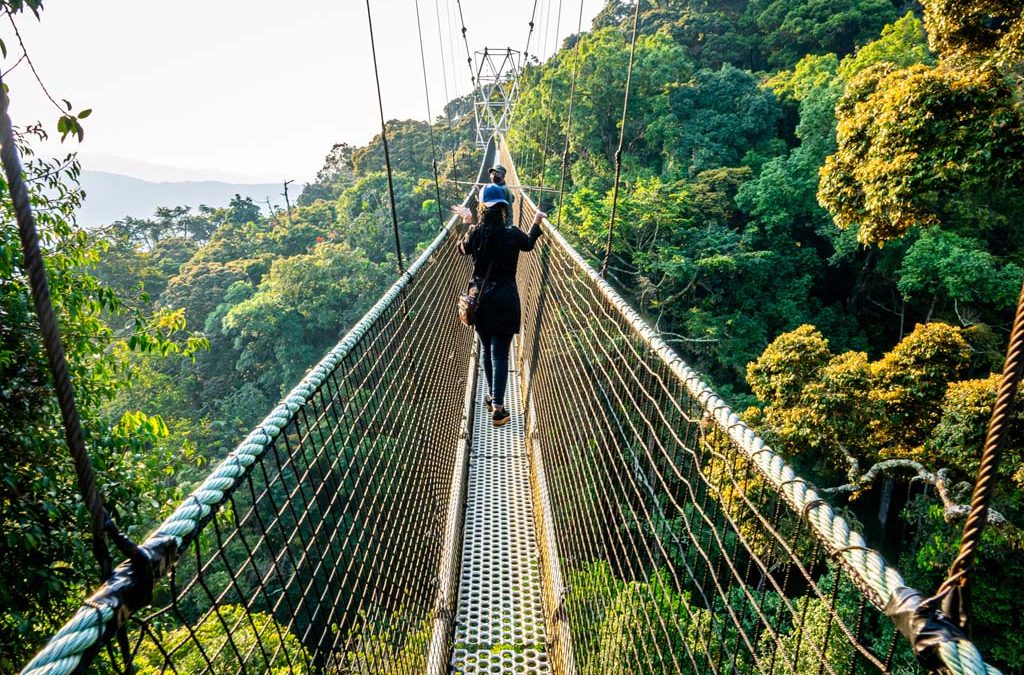 Unforgettable 1-Week Uganda Adventure