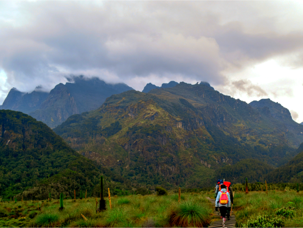 Rwenzori Mountains, Uganda