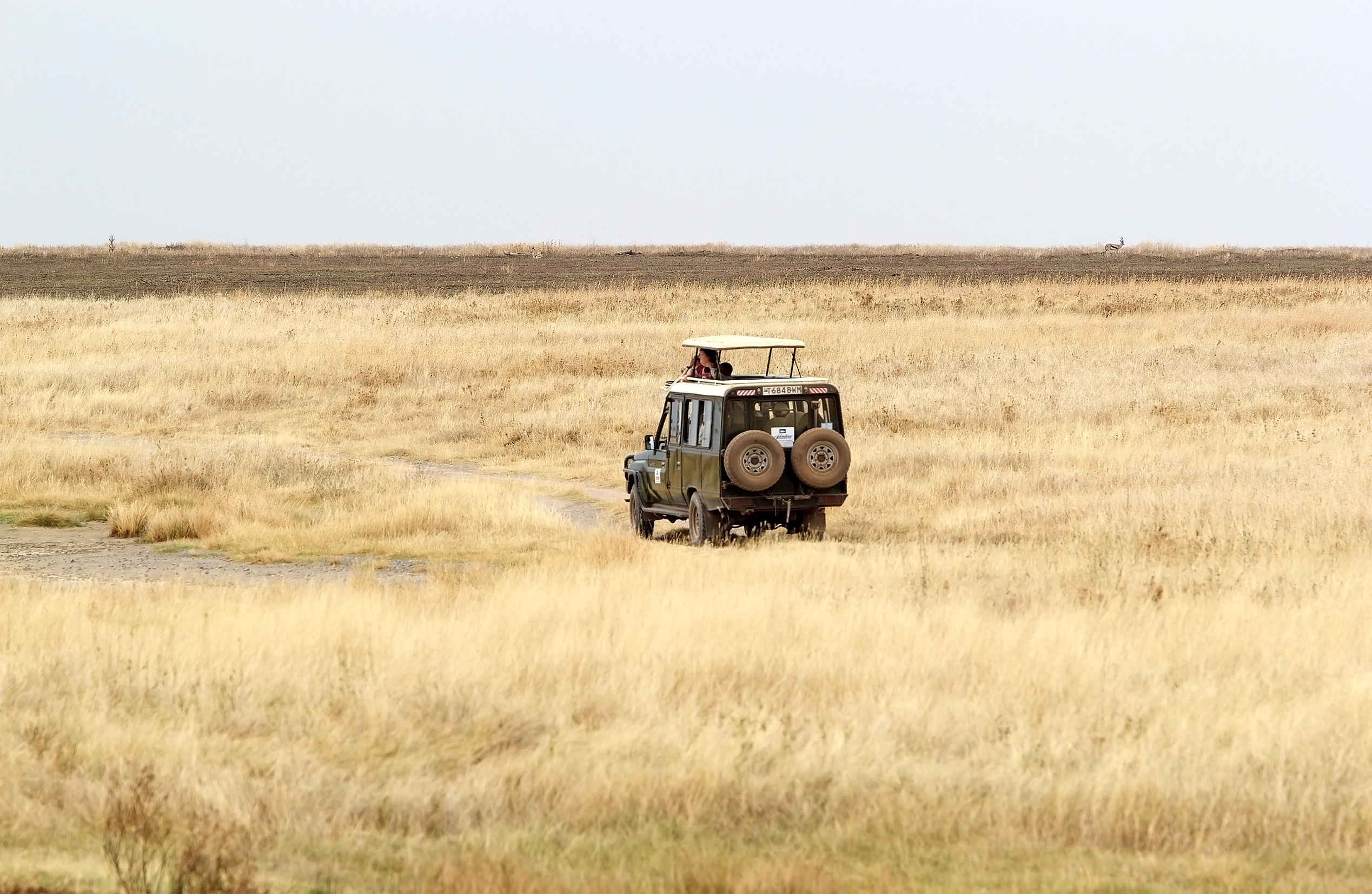 Masai Mara National Reserve
