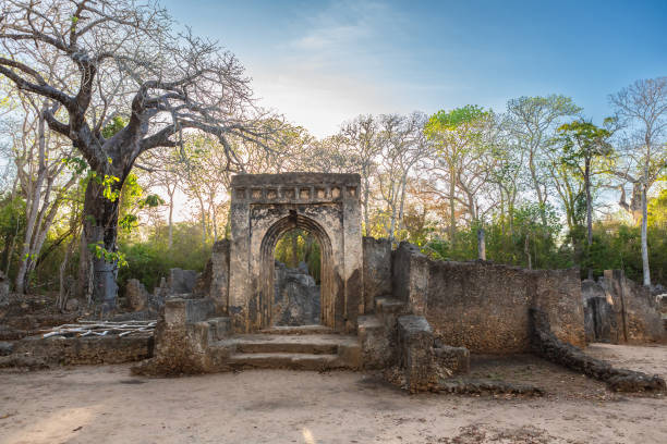 Visit the Gedi Ruins